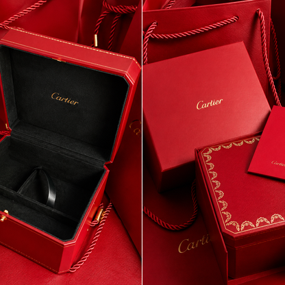 Cartier Santos Large Silver Brown Leather